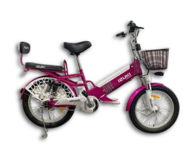 Echelon e-bike
