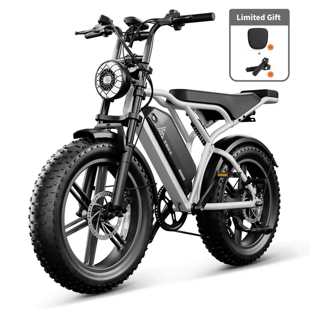 TST Mountain E-Bike